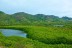 Mangroves of the National Park