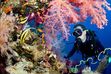 Scuba Diving at Providendcia Island, Colombia.